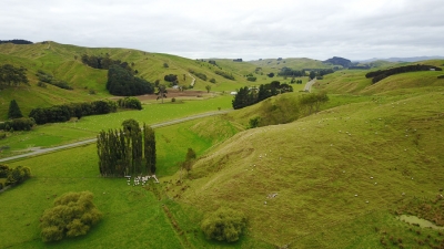 Old railway tunnels, beautiful scenery and shearing sheep