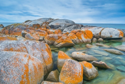 From the West Coast to the Bay of Fires