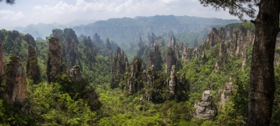 Avatar Mountains with Alex and Pandas in Chengdu