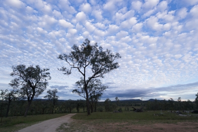 The last days of East Coast and arriving at Charlevue Cattle Station