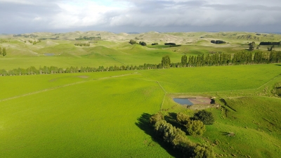 Green rolling hills and mountains on the way to Lake Taupo